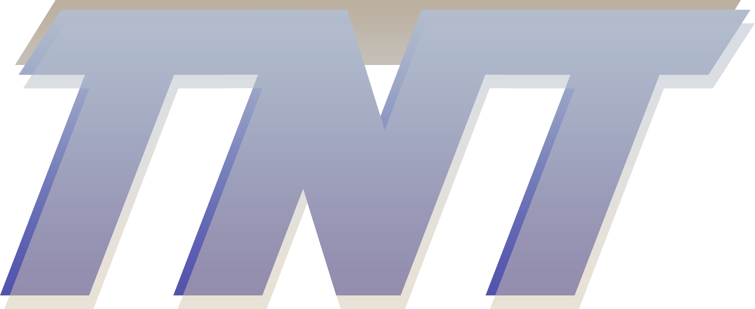 Team New Talents logo